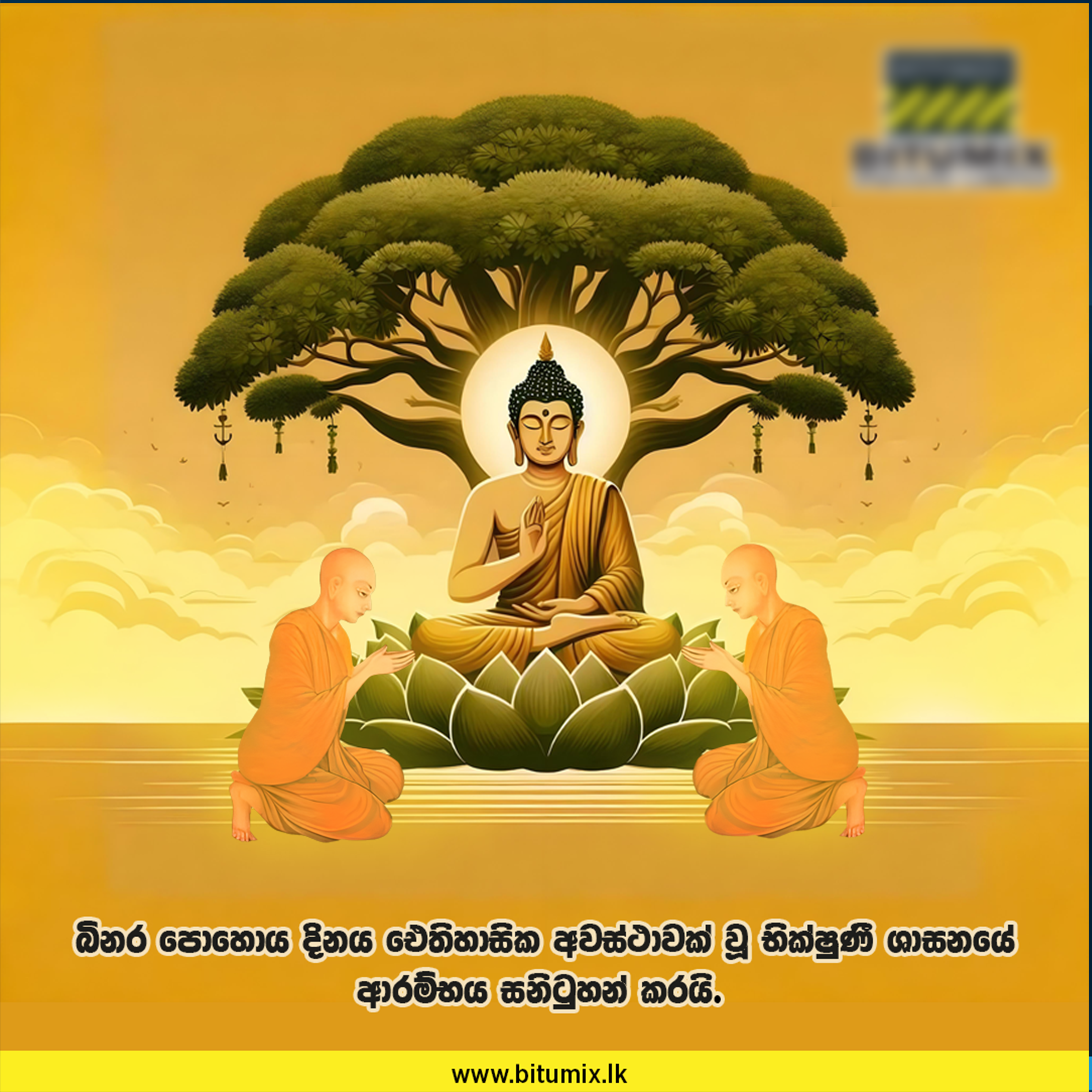 Social Media Post 11